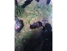 2011-08-17 12.33.20.jpg