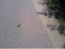 2011-08-17 13.44.43.jpg