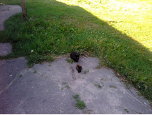 2011-08-18 16.31.39.jpg