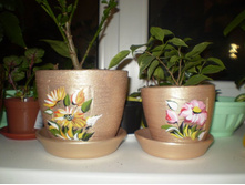 ����� ������� �������� ���� ������