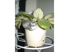 �������� ������