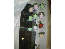 ������-������ ����. � ��������� ���� 5 ������