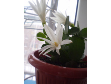 �������������