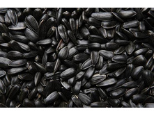 ������� � ������������