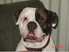 ������-���������. (����.)