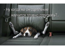 59968-2010-02-17-stseplenie.jpeg