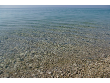 SG205799_����� ������.JPG