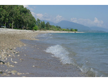 SG206069_����� ������.JPG