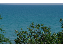 SG206122_����� ������.JPG