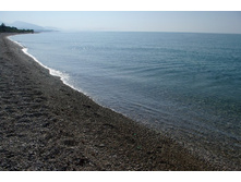 SG206235_����� ������.JPG