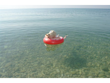 SG206288_����� ������.JPG