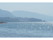 SG206397_����� ������.JPG