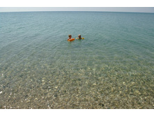 SG206464_����� ������.JPG