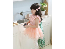 http://www.aliexpress.com/product-fm/459244512-Good-looking-B2W2-Chiffon-Cake-Dress-Summer-Girl-s-Dress-Skirts-T-Skirts-iso-11-5-wholesalers.html