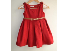 http://www.aliexpress.com/product-fm/505092692-Spring-and-autumn-girl-s-dress-girl-s-princess-dress-vest-dress-Freeshipping-Retail-wholesale-wholesalers.html