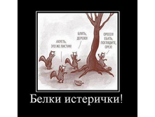 23.04.2010 1:40:36