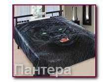 ��������� �� ������� �������� �������.jpg