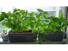 ������� � ������.JPG