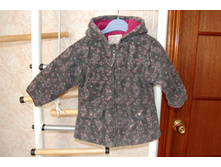 ������ -�86   250�