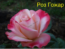 ��� �����.jpg