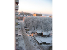IMG_7739.jpg