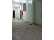 IMG_7779.jpg