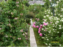 SDC17714.JPG