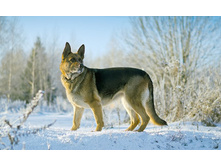 ����������