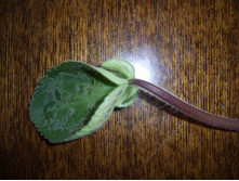 ������ ������� ���-20