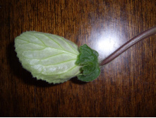 ������� ����� � �������������