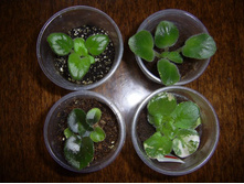 ����� �������� ������ �� 30���