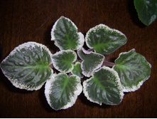 ��-���Σ��� ��ˣ�-80