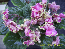 ��-�������� ������