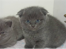 ���� � �������