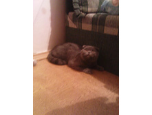 ���� ������� � ����� ����