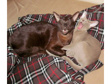 ���� ����.JPG