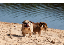 ���� �������� 001.jpg