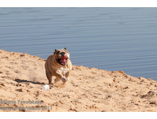 ���� �������� 007.jpg