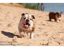 ���� �������� 008.jpg