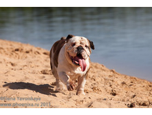 ���� �������� 014.jpg