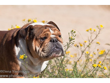 ���� �������� 016.jpg