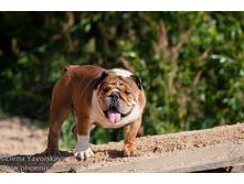 ���� �������� 020.jpg