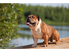 ���� �������� 023.jpg