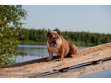 ���� �������� 026.jpg