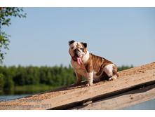 ���� �������� 029.jpg