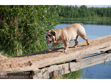 ���� �������� 033.jpg