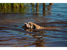 ���� �������� 040.jpg