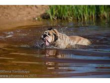 ���� �������� 038.jpg