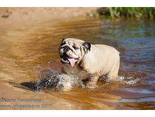 ���� �������� 042.jpg