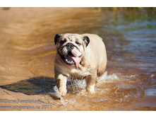 ���� �������� 043.jpg